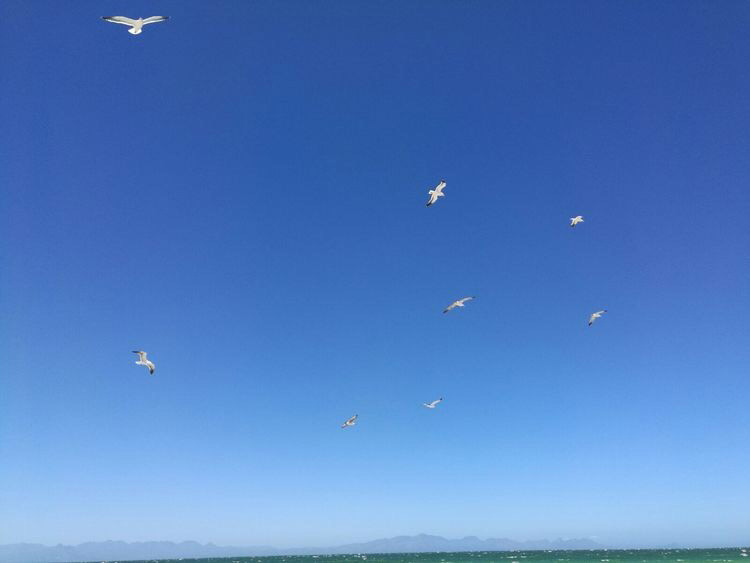 湛藍(lán)的天空